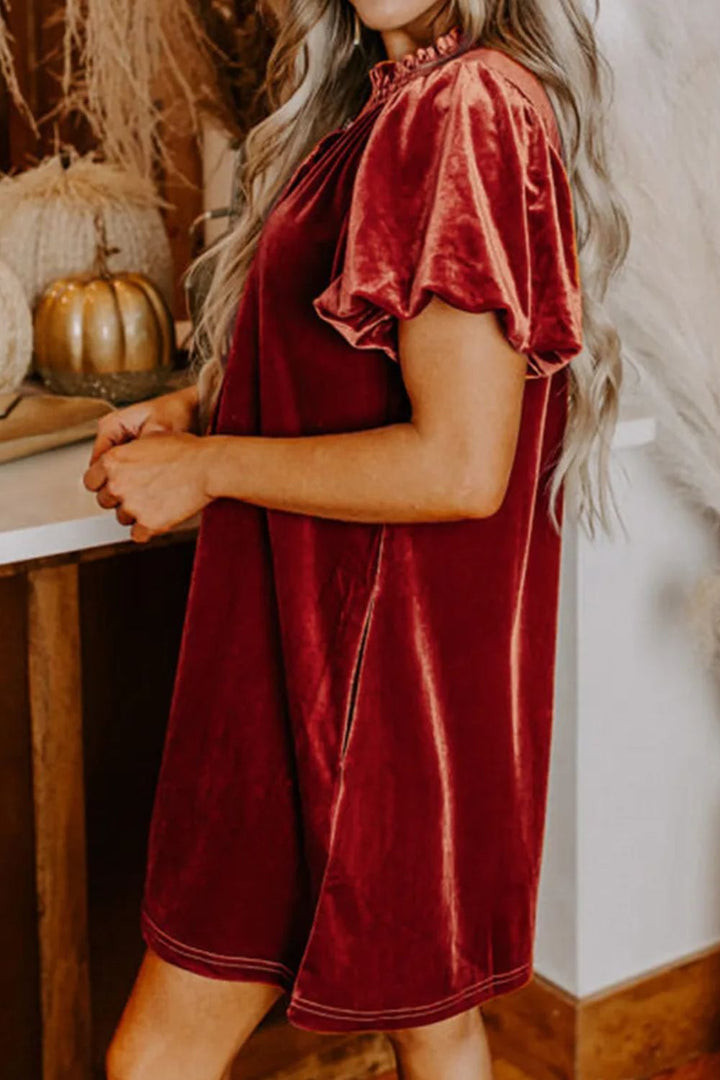 Fashion Sava | Velvet Tie Neck Mini Dress | Elegant Short Sleeve Design - Burgundy